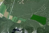 Vue aérienne Bois de Finges 2010