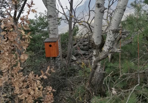 Nichoir à extérieur.