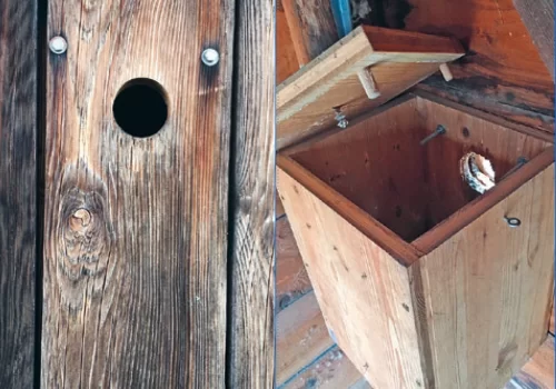 Nichoir à l’intérieur