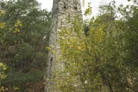 Piliers dans le site protégé Bois de Finges