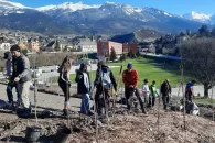 Un groupe d'enfant plantent des arbres et arbustes. En arrière plant la ville de Sierre, la plaine Bellevue, les montagnes et un ciel bleu.