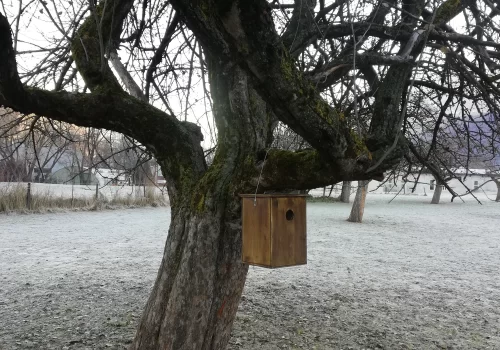 Nichoir à extérieur.