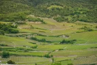 TERRACED LANDSCAPE SALGESCH