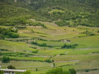 TERRACED LANDSCAPE SALGESCH